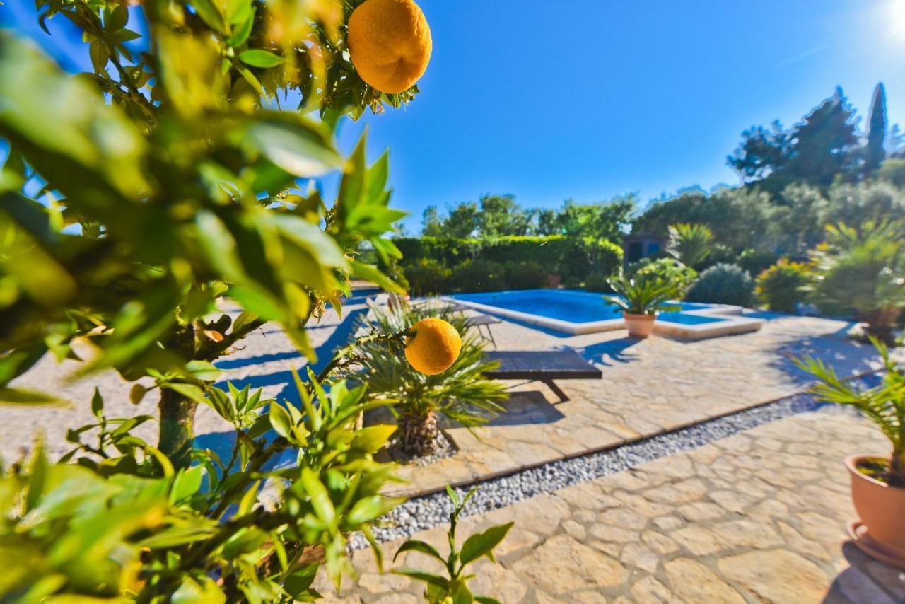 Holiday Home Taras Smilcic Zewnętrze zdjęcie